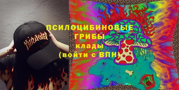 ешки Балахна