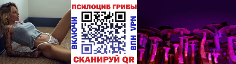 blacksprut зеркало  Закаменск  Псилоцибиновые грибы мухоморы 